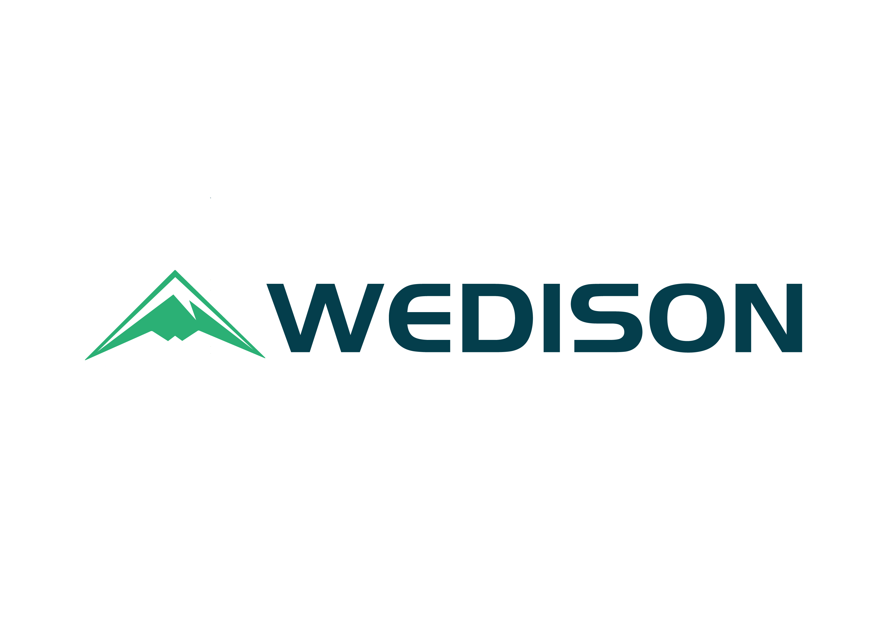 Wedison Logo